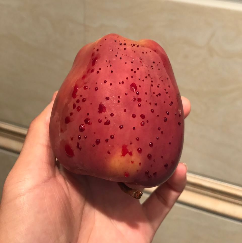 嚇懵！女子用熱水泡蘋果結(jié)果冒出血珠 咋回事？