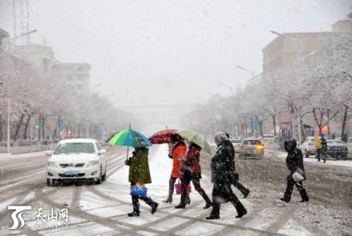 新疆塔城地區普降大雪 市民出行受阻