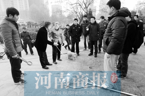 一只辦過狗證的小白狗，因為沒有拴犬鏈，被執法人員暫扣