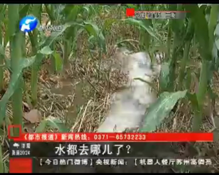 水都去哪了？