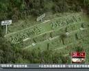 “垃圾場”拍婚紗：玩噱頭還是做環保？