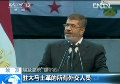 埃及總統宣布同敘利亞政府斷交