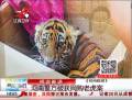 河南警方破獲網購老虎案